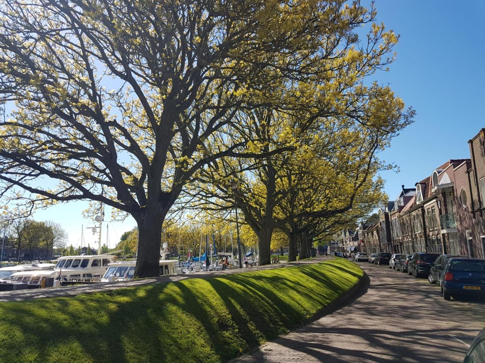 Appartement Havenzicht Enkhuizen Εξωτερικό φωτογραφία